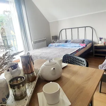 ホームステイ Noclegi Szczawnica シュツァブニツァ